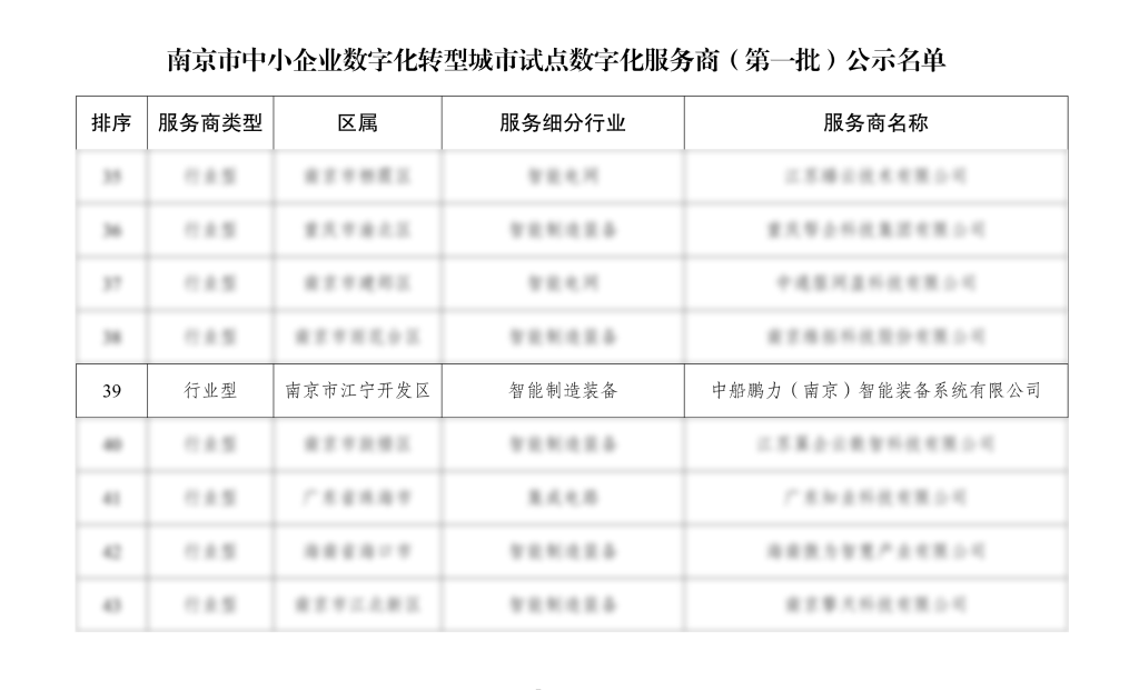 雷火（中国）入选南京市首批中小企业数字化转型城市试点数字化服务商名单